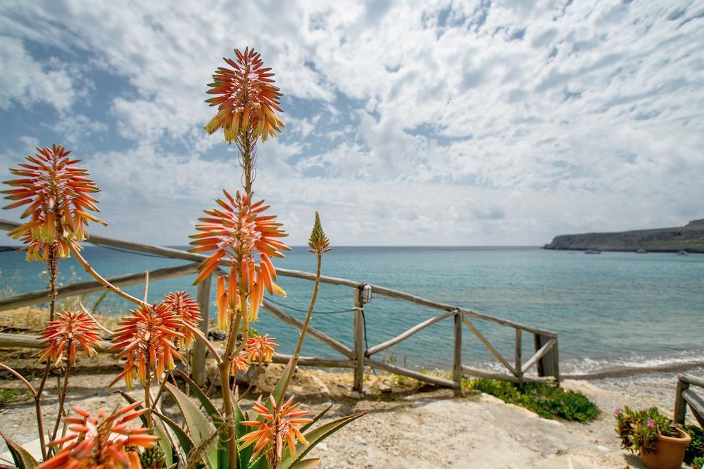 Coral Front Beach Káto Zákros Pokój zdjęcie