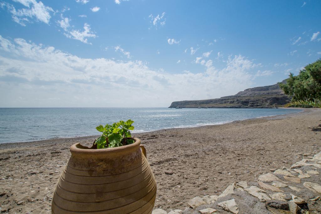 Coral Front Beach Káto Zákros Pokój zdjęcie