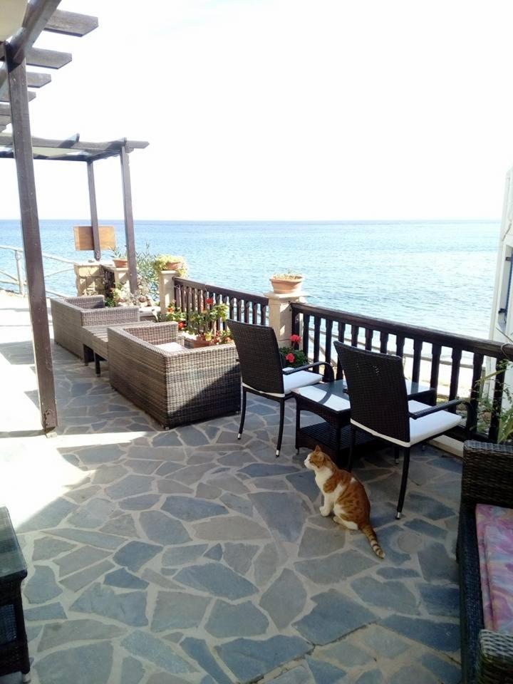 Coral Front Beach Káto Zákros Zewnętrze zdjęcie